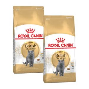 ROYAL CANIN British Shorthair Adulte Croquettes Chat 2x10 kg