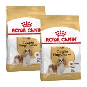 ROYAL CANIN Cavalier King Charles Adulte Croquettes Chien 2x1,5 kg