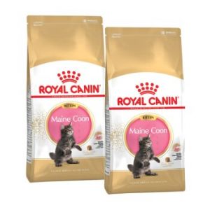 ROYAL CANIN Maine Coon Chaton Croquettes Chat 2x10 kg