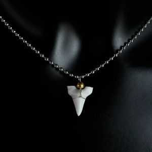 Collier avec Pendentif Fausse Dent de Requin Blanche