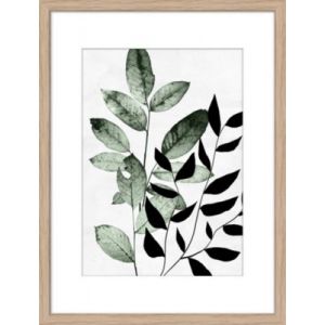 Image encadr&eacute;e feuilles l.30 x L.40 Dada Art