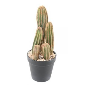 Cactus finger X artificiel h.28 cm avec pot décoratif