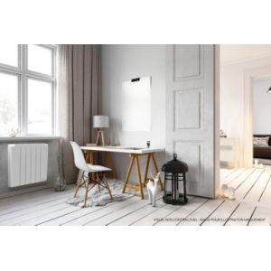 Radiateur électrique fonte à inertie fluide Delonghi Stoka plus 1000W