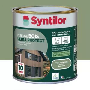 Peinture bois ext&eacute;rieur vert provence RAL 6021 satin Syntilor Ultra Protect 0.5 L
