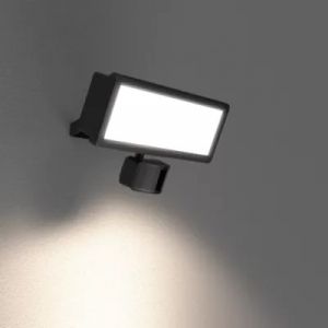 Projecteur mural LED ext&eacute;rieur noir 30 W 3750 lm d&eacute;tecteur de mouvement IP65, GoodHome Davern