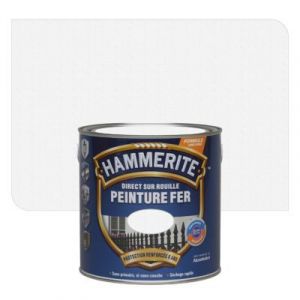 Peinture métal direct sur rouille Hammerite forgé acier brossé 2,5L