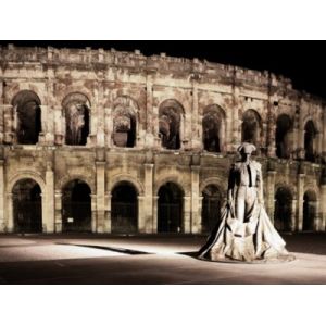 Toile imprimée les arènes de Nîmes de nuit Dada Art montée sur châssis bois en pin 60x80 cm
