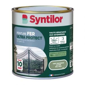 Peinture fer ext&eacute;rieur vert provence RAL 6021 satin Syntilor Ultra Protect 2.5 L