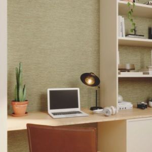 Papier peint pr&eacute;-encoll&eacute; vinyle intiss&eacute; uni Easy Roll GoodHome Calcot vert kaki l.53 x H.1005 cm