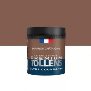 Testeur peinture marron ch&acirc;taigne velours Tollens Premium 50 ml