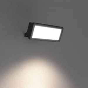 Projecteur mural LED ext&eacute;rieur 20 W 2250 lm sans d&eacute;tecteur IP65, GoodHome Davern noir