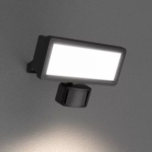 Projecteur mural LED ext&eacute;rieur noir 20 W 2250 lm d&eacute;tecteur de mouvement IP65, GoodHome Davern