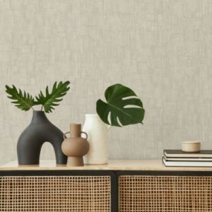 Papier peint vinyle intissé uni Kopa gris, beige L.1005 x l.53cm Lutèce