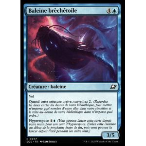 Baleine Brèchétoile - Magic - Aux Portes Des Éternités Vf - C - 77 - Occasion