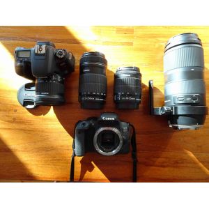 Un CANON EOS 800D, un CANON EOS 77D et plusieurs objectifs - Occasion