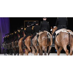 Cadre Noir De Saumur - Le Printemps Des &Eacute;cuyers - 24/04/26 - Occasion