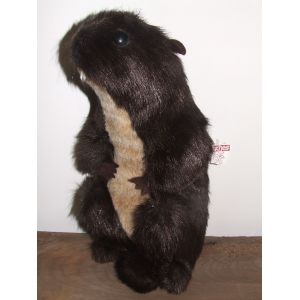 Marmotte Peluches D'oc Doudou Fabrication Francaise 35 Cm - Occasion