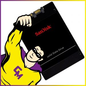 SSD 256 Go 2.5" SanDisk SDSSDP-256G SATA 6Gbps - Occasion