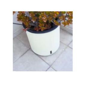 Bac Jardiniere Pot Riviera Rond Blanc Diametr 35 Cm Ecru Hydratation Arrosage Humidite Continue Pr Plantes Vertes Reserve D Eau Vegetaux Plantation Fleurs Bulbe Cont Recipient Back Résine - Occasion