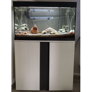 Ensemble Complet Aquarium Eheim 126l + Meuble - Occasion