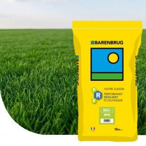 Gazon Barenbrug Res+Rpr &ndash; Semence Gazon &ndash; Sac 15 Kg - Occasion
