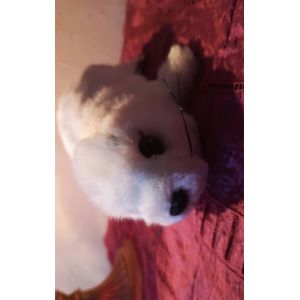Peluche Phoque De 30cm De La Compagnie Des Ours. C'est Le Plus Petit Des Trois (58 Cm Et 44 Cm En Vente Également ). Ce Petit Est Adorable, Facile À Prendre En Main. - Occasion