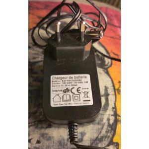 Chargeur secteur alimentation &eacute;lectrique adaptateur power supply chargeur de batterie WJG-Y091260500WZ Intertek 12,6V 500mA 0,5A 6,3W - Occasion