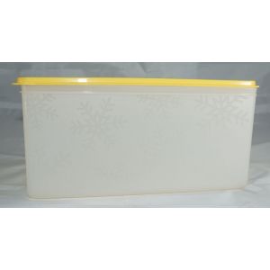 Boîte Grd Froid Tupperware 6 Litres - Occasion