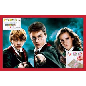 Kit Set Loisir Créatif Point De Croix Broderie 30x40cm Harry Potter Mosaique 5d Diamant Poster 3d - Occasion