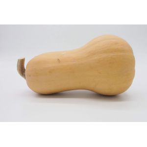 Graines De Courge Butternut X25 ? Mon Petit Jardin - Méthode Bio - Occasion