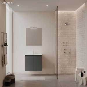 Meubles Suspendu 70cm De Salle De Bain Alterna Priméo 2 Portes Gris Laqué - Occasion