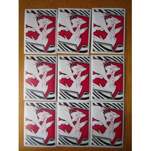 Lot De 9 Protèges Carte Pokémon À L&#39;Effigie De : Reshiram - Occasion