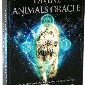 Jeu De 78 Cartes The Linestrider Tarots Oracle Anglais Complet Klb - Occasion