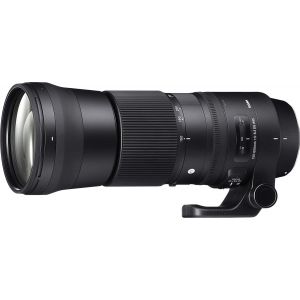 Sigma 150-600mm F5-6.3 DG OS HSM Contemporary Monture Nikon - Occasion