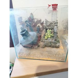 Aquarium 60 Litres D'Eau Aoese Et Plus Petit Aquarium Aussi Avec Tous Les &Eacute;l&eacute;ments N&eacute;cessaires Et De D&eacute;coration Aussi. Merci Beaucoup. Bonne Journ&eacute;e! Cordialement. - Occasion