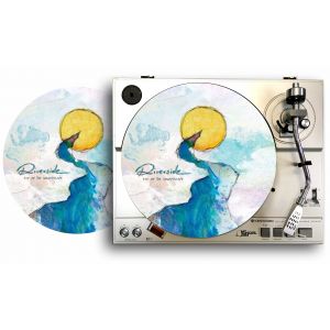 feutrine pour platines vinyles (slipmat) - Occasion