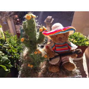 Nounours, El Mexicano (Le Mexicain) - Occasion