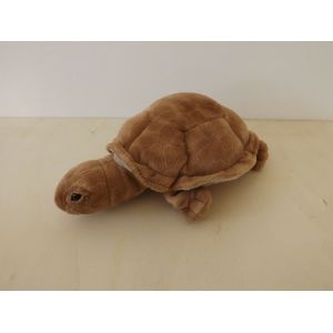 Doudou Peluche Tortue Marron - Occasion