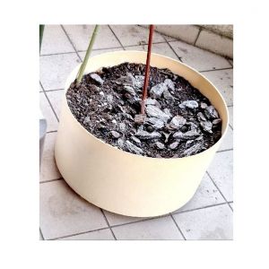 Bac Jardiniere Pot Riviera Rond Beige Creme Ivoire Diametr 50 Cm Ecru Hydratation Arrosage Humidite Continue Pr Plantes Vertes Reserve D Eau Vegetaux Plantation Fleurs Bulbe Cont Recipient Back Résine - Occasion