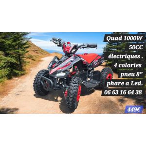 Quad &Eacute;lectrique Enfant Kraftmuller 1000w - Occasion