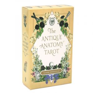 Jeu De Tarots D'anatomie Antique, Jeu De Soci&eacute;t&eacute;, 78 Cartes, Oracle Anglais Complet, Divination, Destin, F&ecirc;te En Famille, 1 Ensemble - Occasion