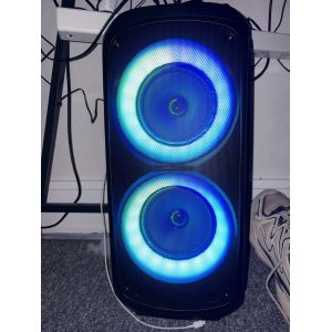Enceinte edenwood party 250 V2 - Occasion