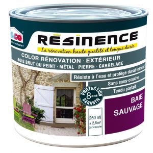 R&eacute;sine Color&eacute;e de R&eacute;novation Ext&eacute;rieure R&Eacute;SINENCE Color Baie Sauvage 250ml - Occasion