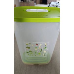 Boîte À Légumes Tupperware 2,7 Litres - Occasion
