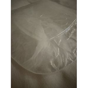 Assiette Carrée En Verre Trempé. - Occasion