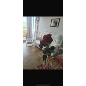 Canap&eacute; Relax &Eacute;lectrique 2 Places Cuir Pleine Fleur - Occasion