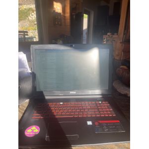 MSI GL72M 7REX - 17.3" Intel Core i5 - Ram 8 Go - DD 900 Go - Occasion