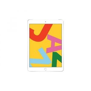 iPad 7 (2019) Wifi+4G - 32 Go - Argent - Reconditionné - Très bon état - Occasion