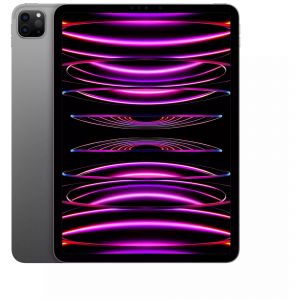 Tablette Apple iPad Pro Wi-Fi + Cellular 1 To 11 pouces Gris - Occasion