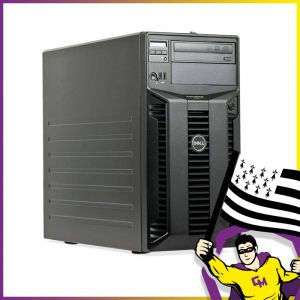 Serveur Tour Dell T310 Xeon X3420 RAM 24Go 2x2 To + 2x500 Go HDD - Occasion